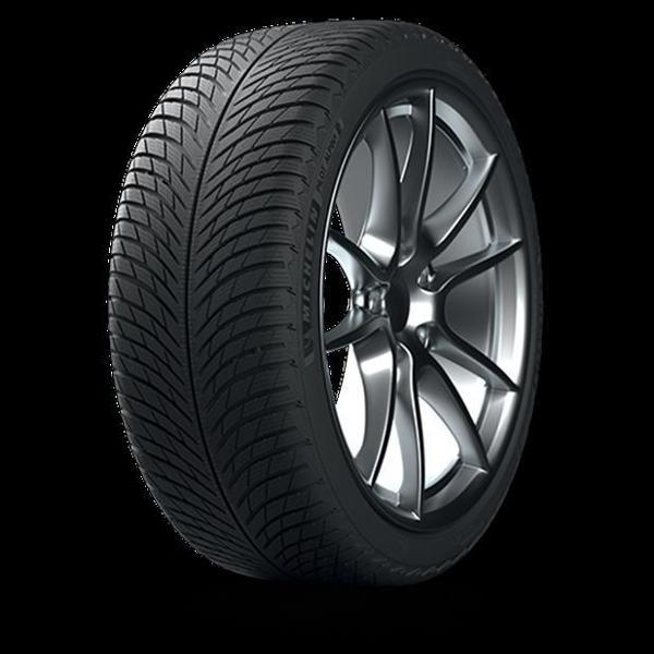 Mıchelın 315/30R21 105 V XL PILOT ALPIN 5 AML  RG - Image 1