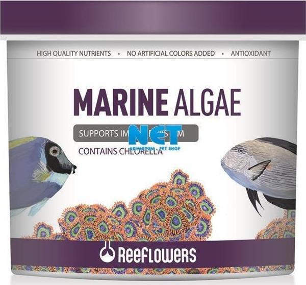 Reeflowers Marine Algae 250 ML  - Image 1