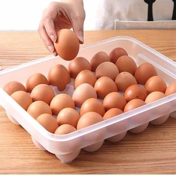30lu Yumurta Saklama Kabı - Image 1