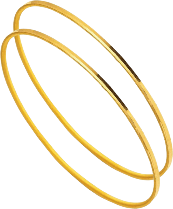 20 gr 22 Ayar Ajda Bilezik ( 10gr x 2 Adet ) - Image 1