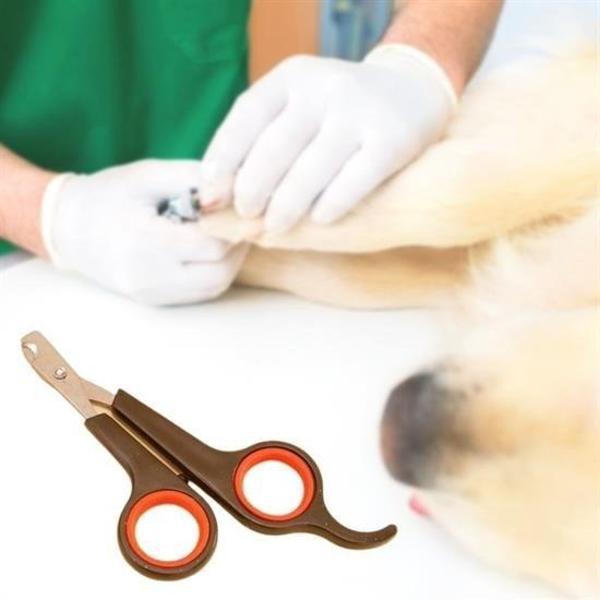 Küçük Çelik Uçlu Kedi Köpek Evcil Hayvan Tırnak Makası Pati Bakım Aleti Ergonomik Kaymaz Sap - Image 1