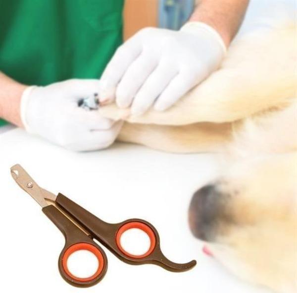 Küçük Çelik Uçlu Kedi Köpek Evcil Hayvan Tırnak Makası Pati Bakım Aleti Ergonomik Kaymaz Sap - Image 1