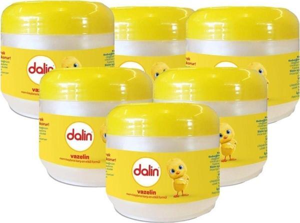 Dalin X 6 Adet Vazelin -Klasik 100 Ml - Image 1