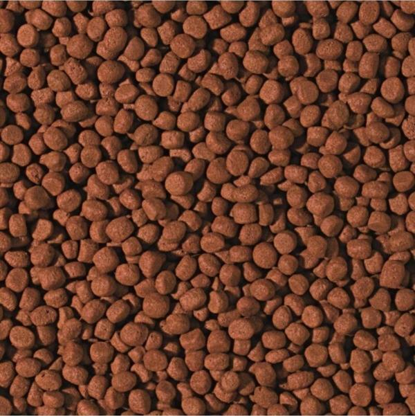 Tropical 1000 Gram Cichlid Carnivore Medium Pellet Büyük Granül Balık Yemi - Image 1