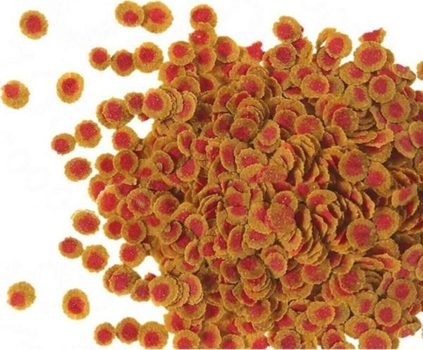 Tetra Pro Colour 500 Gram Balık Yemi (Skt 05/22) - Image 1