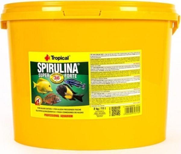 Tropical Süper Spirulina Forte 1000 Gr Pul Yem - Image 1