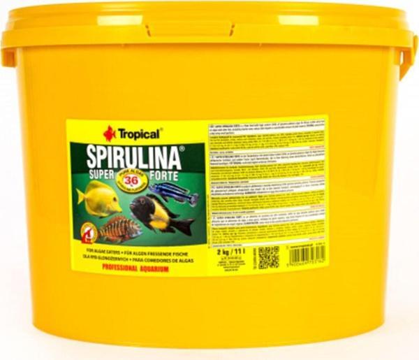 Tropical Süper Spirulina Forte 500 Gram Pul Yem - Image 1