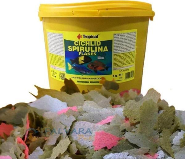 Tropical Cichlid Spirulina Flakes 1000 Gram Pul Balık Yemi - Image 1