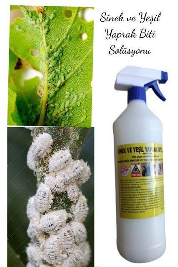 ÇİÇEK VE BİTKİLER İÇİN SİNEK VE YAPRAK BİTİ ILACI 1000 ML  - Image 1