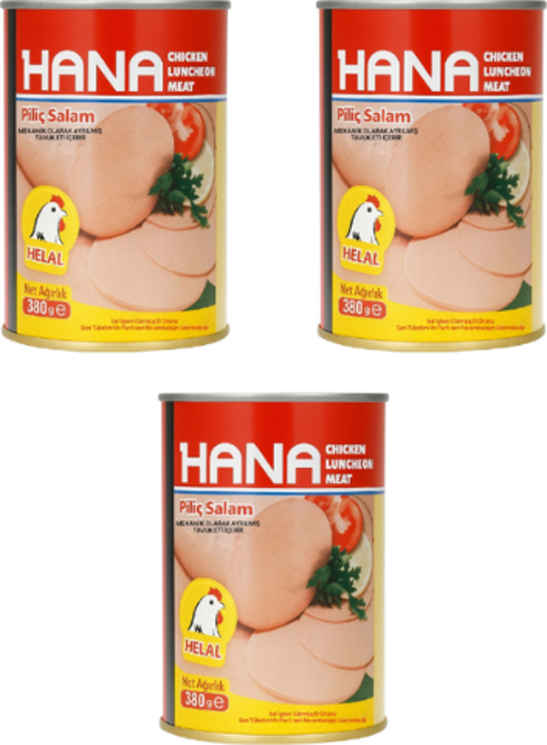 Hana Konserve Piliç Salam 380 g x3 Adet - Image 1