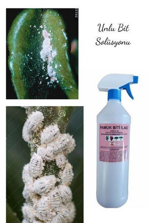 ÇİÇEK VE BİTKİLER İÇİN UNLU PAMUK BİTİ ILACI 1000 ML  - Image 1