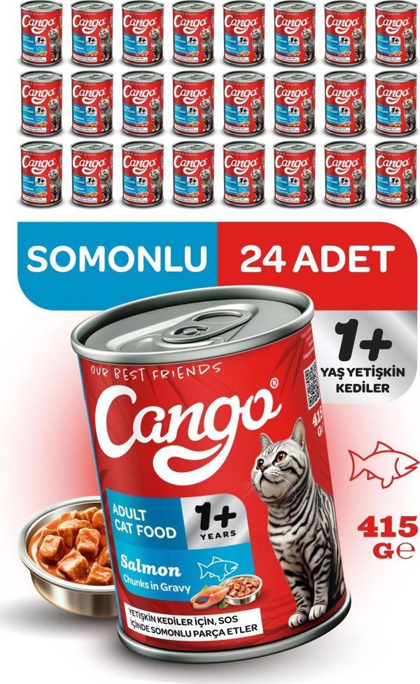 Cango Yetişkin Yaş Kedi Maması Somonlu 415Gr 24Lü - Image 1