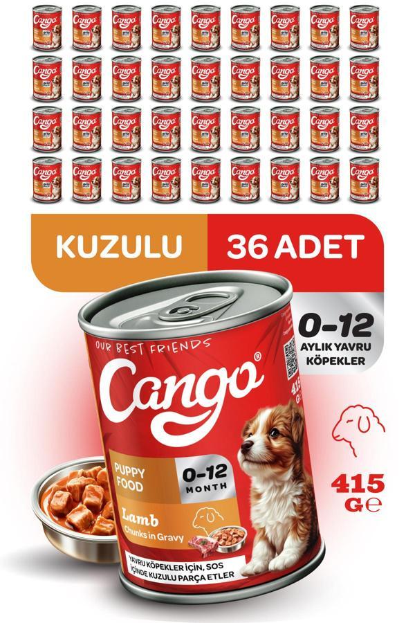 Cango Yavru Yaş Köpek Maması Kuzu Etli 415Gr 36Lı - Image 1