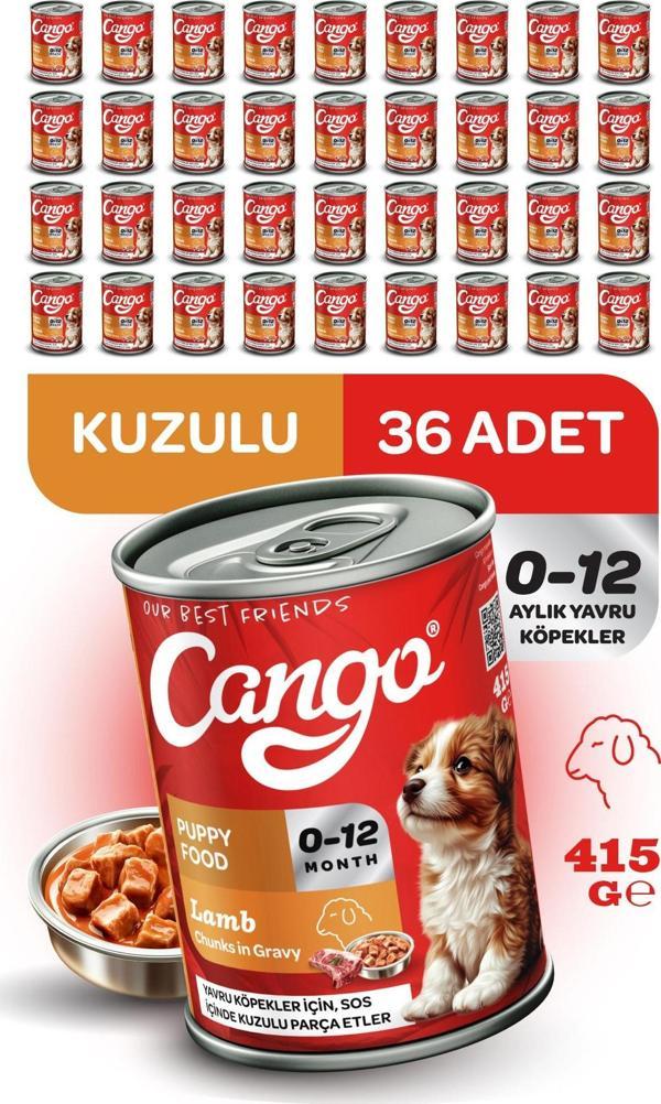 Cango Yavru Yaş Köpek Maması Kuzu Etli 415Gr 36Lı - Image 1
