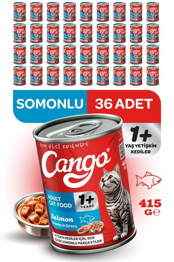 Cango Yetişkin Yaş Kedi Maması Somonlu 415Gr 36Lı - Image 1