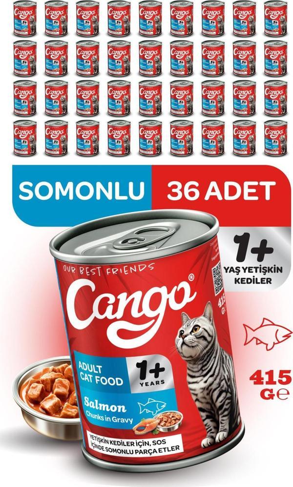 Cango Yetişkin Yaş Kedi Maması Somonlu 415Gr 36Lı - Image 1