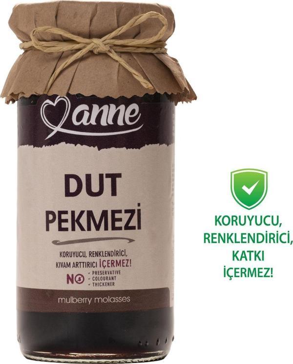 Anne Dut Pekmezi 300G (Koruyucu, Katkı Içermez) - Image 1