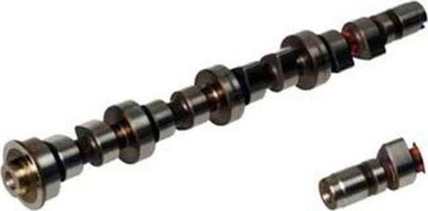 Estaş Eksantrik Mili Emme Doblo-Palıo 1.6 16V 612138 - Image 1