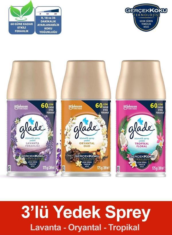 Glade Oda Kokusu Yedek Sprey Lavanta Ferahlığı, Oryantal, Tropikal Floral, 3 X 269 Ml./175Gr. - Image 1