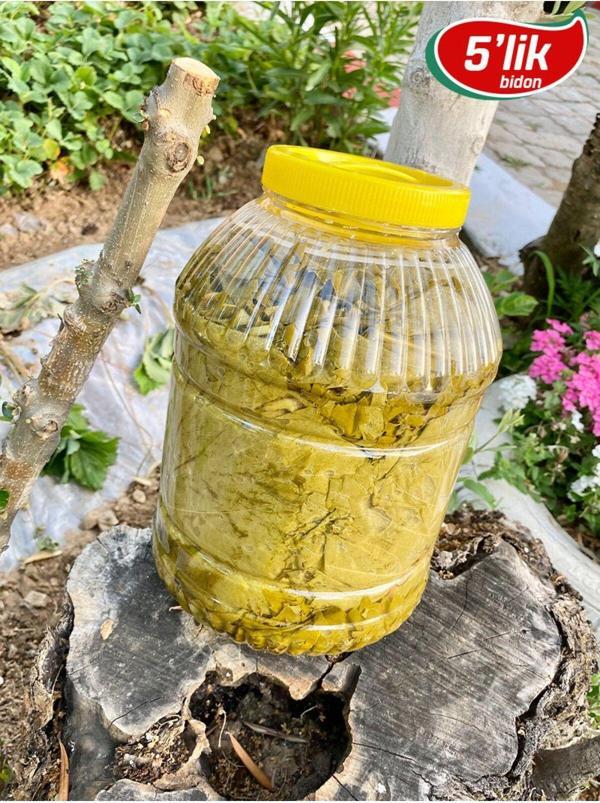 Yaprak 2024 Mahsul Doğal Katkısız Narince Asma Üzüm Yaprağı 5 Kg - Image 1