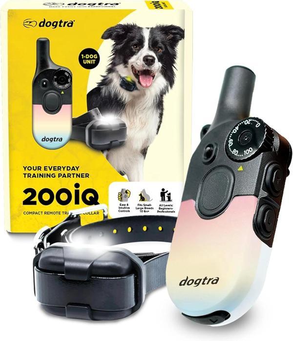 Dogtra 200iQ Uzaktan Eğitim E-Tasması 4,5+ Kg Köpekler - Gün Batımı - Image 1