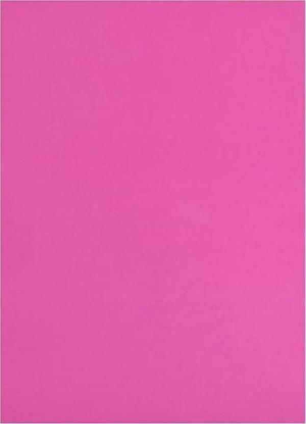 Eva 50X70 Pembe Rulo Şeklinde - 4 adet - Image 1