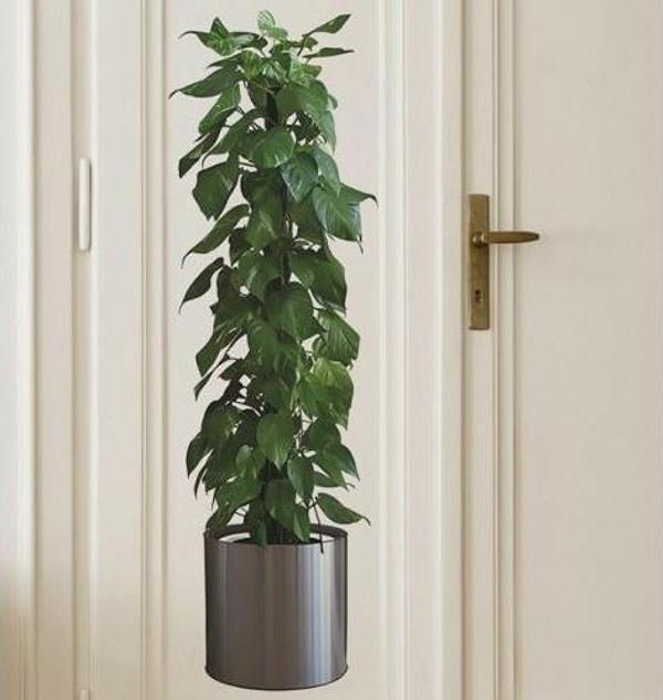 3B Trend 90*30 cm Bitki Tasarım Duvar Sticker Bitki Saksı Desen Duvar Çıkartması Duvar Dekorasyonu - Image 1
