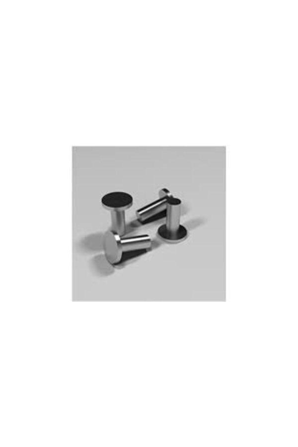 Mor Salkım Home Aliminyum Dövme-Ezme Perçin 3*10 Mm Mercimek Baş (20 Adet) - Image 1
