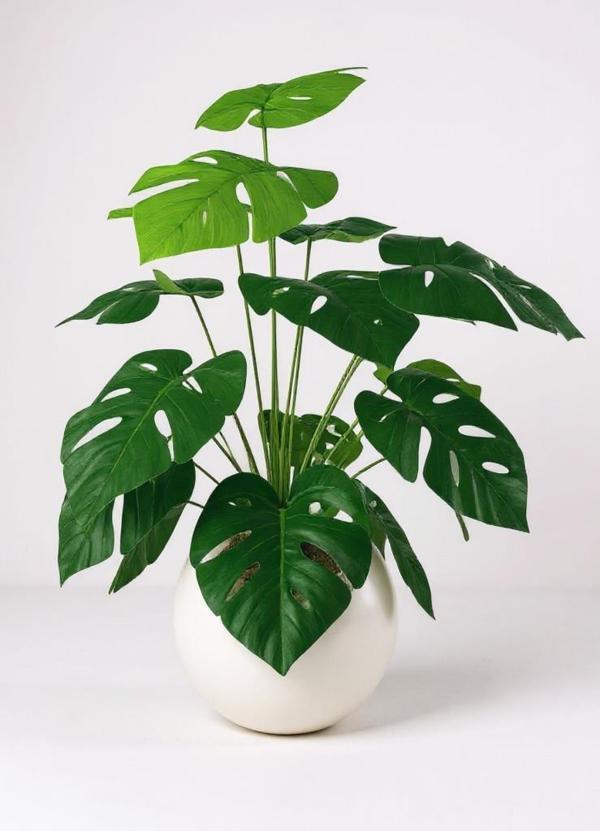 Yapay Çiçek Salon Bitkisi Monstera 70cm 18 Yaprak Beyaz Küre Saksıda - Image 1