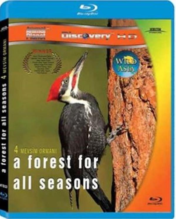 Dört Mevsim Ormanı - A Forest For All Seasons ( Türkçe Dublaj ) ( Ambalajında - Sıfır ) Blu-Ray Disc - Horizon International - Image 1