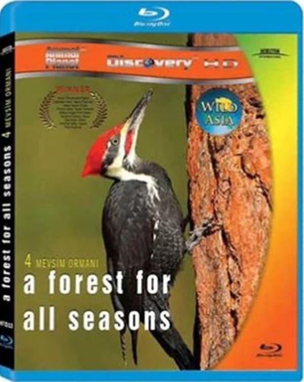 Dört Mevsim Ormanı - A Forest For All Seasons ( Türkçe Dublaj ) ( Ambalajında - Sıfır ) Blu-Ray Disc - Horizon International - Image 1
