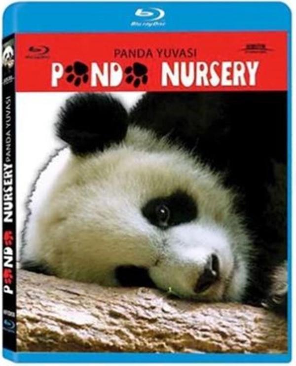 Panda Yuvası - Panda Nursey ( Türkçe Dublaj ) ( Ambalajında - Sıfır ) Blu-Ray Disc - Horizon International - Image 1