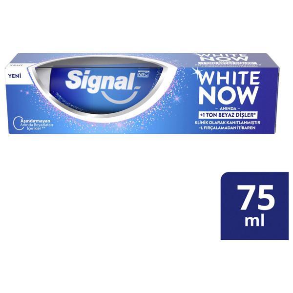 Signal Diş Macunu White Now 75 Ml - Image 1