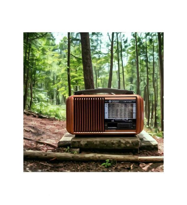 Helsınkı Machıne HS-318BT El Fenerli Şarj Edilebilir Nostaljik Radyo - Image 1