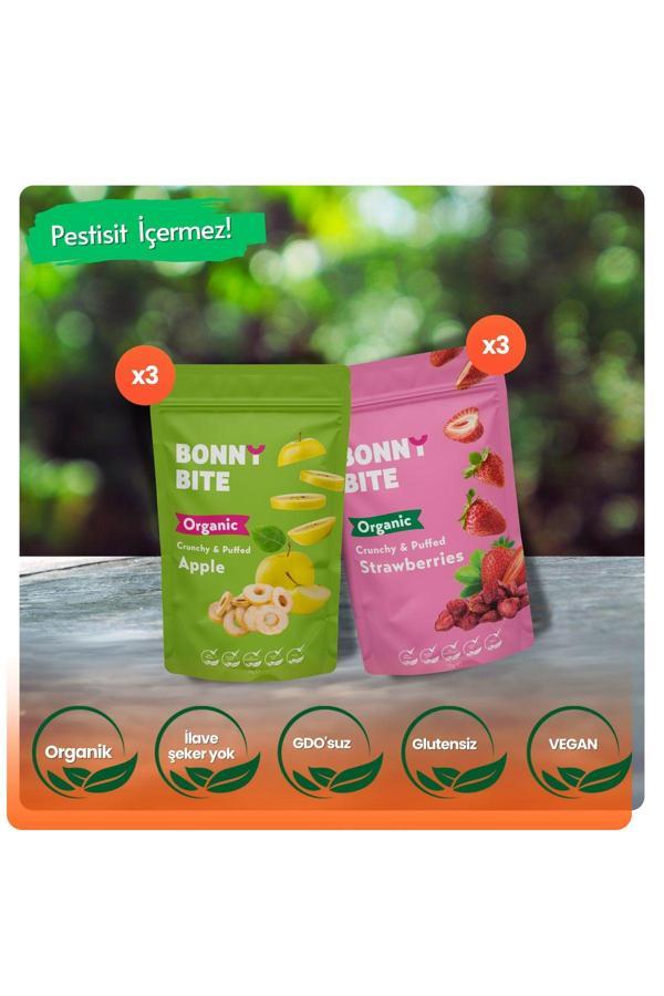 Bonny Bite Kurutulmuş Çıtır Çilek & Çıtır Elma 6'Lı Paketi - Image 1