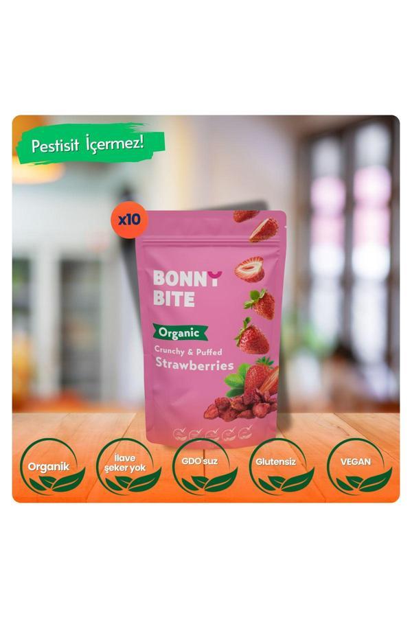 Bonny Bite Kurutulmuş Çıtır Çilek Atıştırmalığı 10'Lu Paket (18Grx10) - Image 1