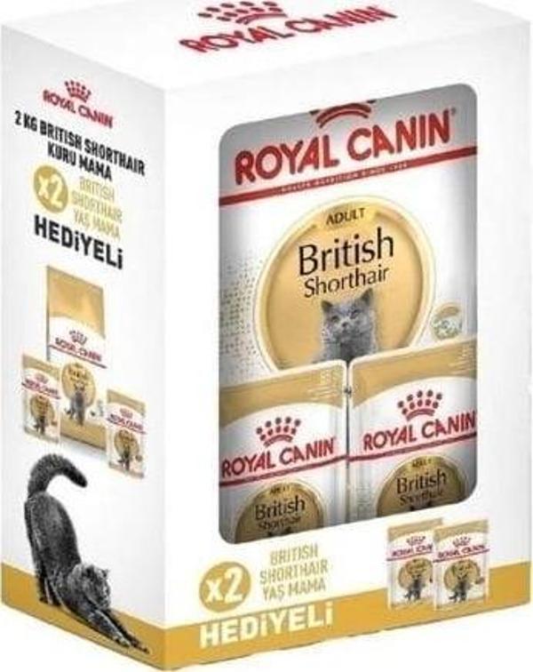 Royal Canin British Shorthair Adult Yetişkin Kedi Maması 2 Kg + 2 Konserve Hediyeli - Image 1