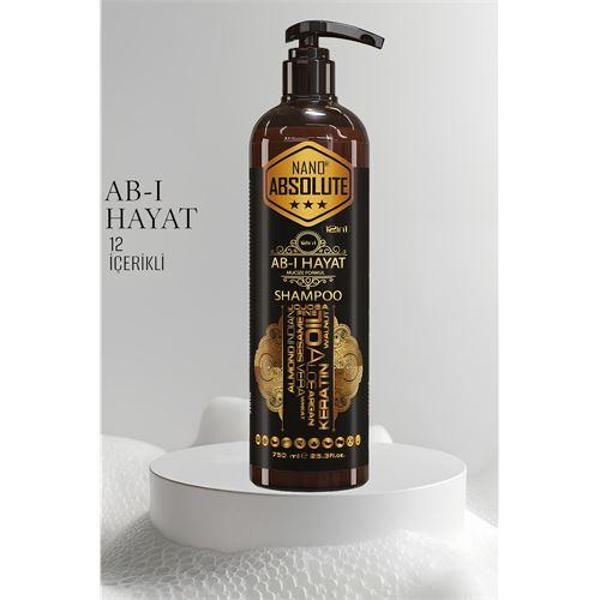  Ab-ı Hayat Nano Saç Şampuanı 12 İçerikli Absolute Professional - Image 1
