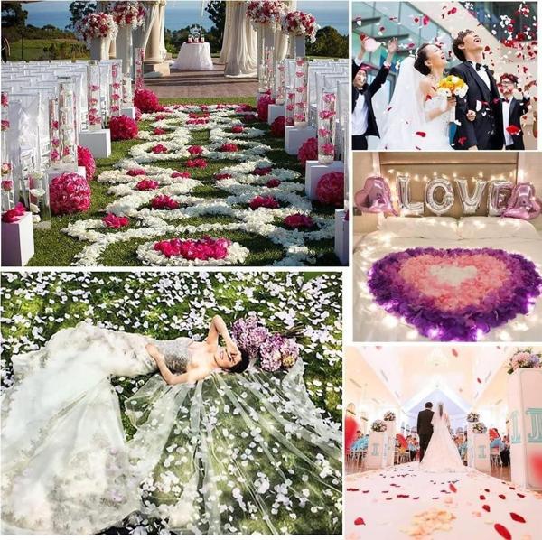 Beyaz Renk Gül Yaprağı Şekilli Konfeti 10 Paket 1000 Adet - Image 1