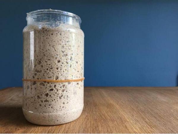 Sevinçli Doğa 30 Yıllık Atalık Tohum Siyez Ekşi Mayası 100 Gr - Image 1