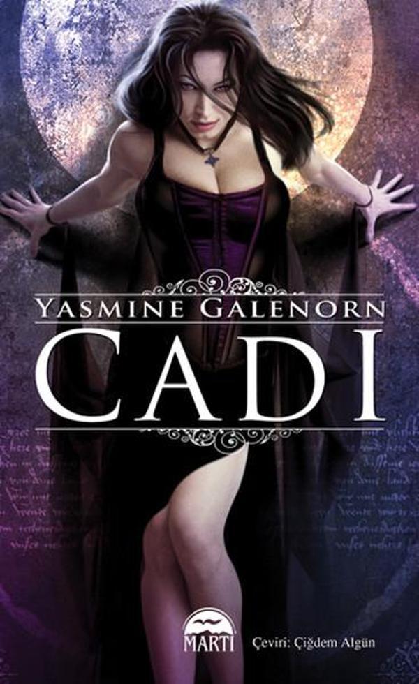 Cadı - Ayın Kardeşleri Serisi 1.Kitap - Martı Yayınları Yayınevi - Image 1