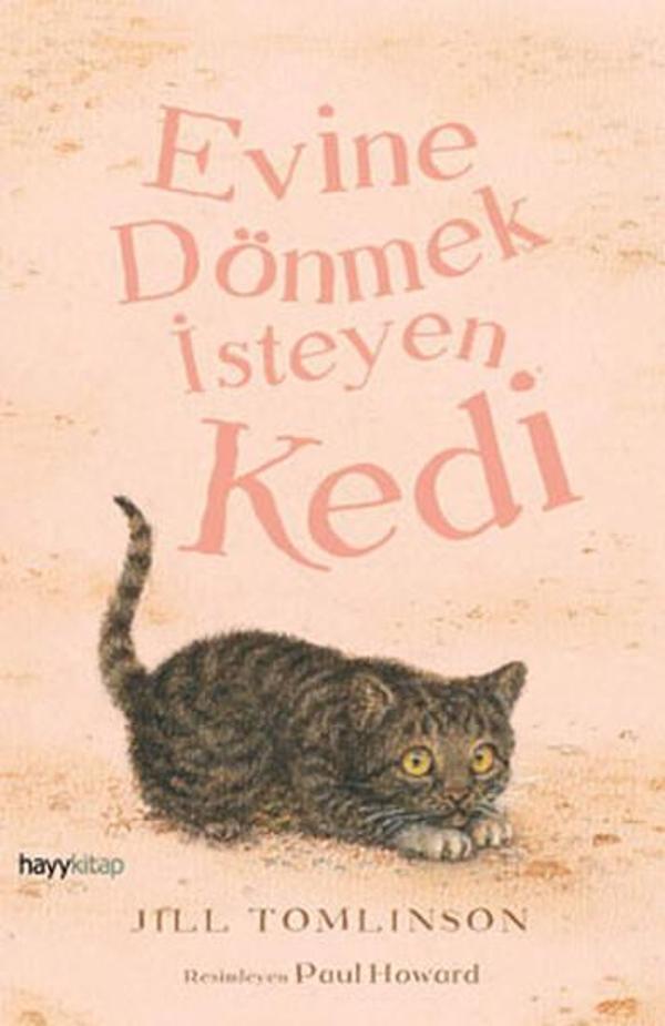 Evine Dönmek İsteyen Kedi - Hayykitap - Image 1