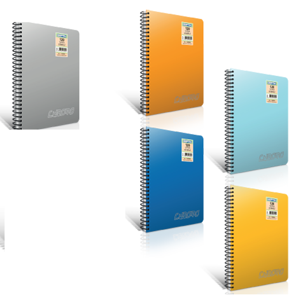 Gıpta Chromo Plastik Kapak Spiralli Defter A-4 100 Yaprak Düz 3-2065000-2012 - Image 1