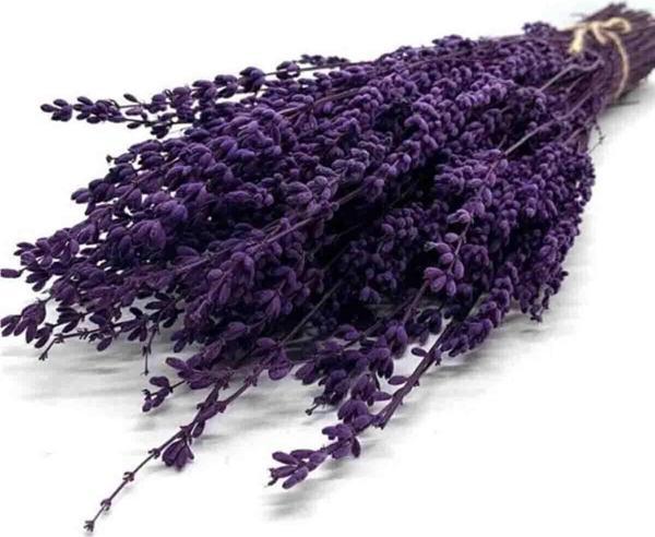 100 gr Şoklanmış Dökülmeye Dayanıklı Gerçek Lavanta Demeti Mor - Image 1