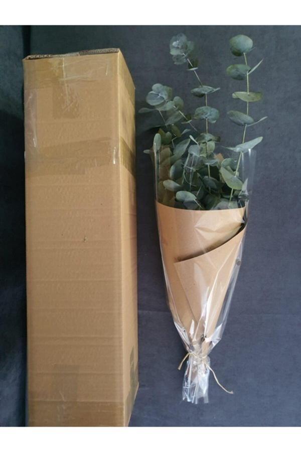 Kuru Çiçek Şoklanmış Okaliptus Demeti Yeşil (50 cm) - Image 1