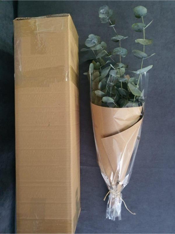 Kuru Çiçek Şoklanmış Okaliptus Demeti Yeşil (50 cm) - Image 1