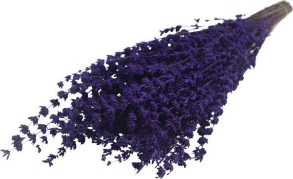 Boyanmış Kurutulmuş Lavanta Demeti 100 Dal - Image 1