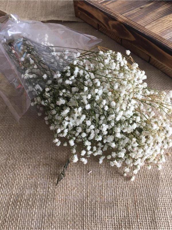 Doğal Kuru Çiçek Kurutulmuş Cipso Otu - Image 1
