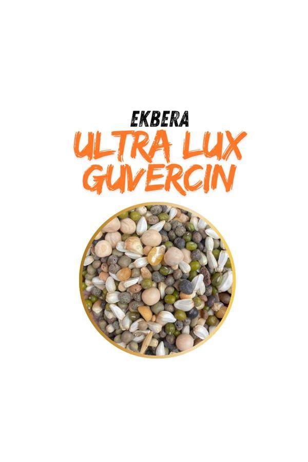 Ekbera Güvercin Yemi - Ultra Lüx - 10 Kg - Image 1