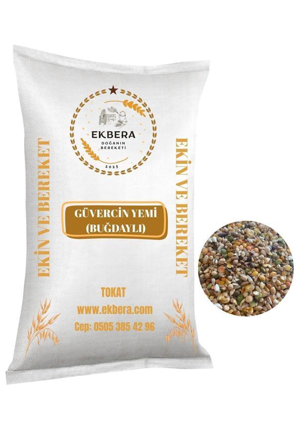 Ekbera Güvercin Yemi (Buğdaylı) – 25 Kg - Image 1